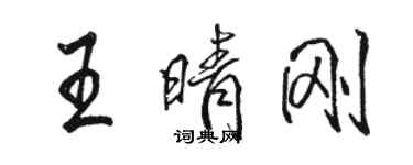 駱恆光王晴剛行書個性簽名怎么寫