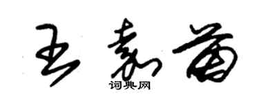 朱錫榮王嘉苗草書個性簽名怎么寫