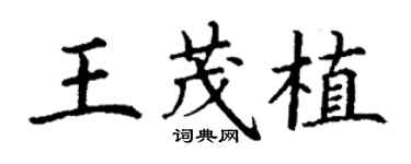 丁謙王茂植楷書個性簽名怎么寫