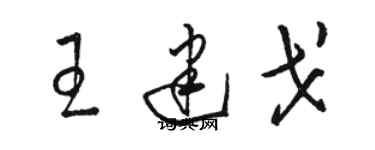 駱恆光王建戈草書個性簽名怎么寫