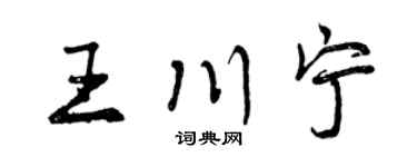 曾慶福王川寧行書個性簽名怎么寫