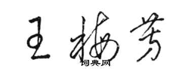 駱恆光王梅芳草書個性簽名怎么寫