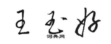 駱恆光王玉好草書個性簽名怎么寫