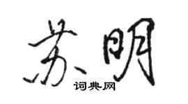 駱恆光蘇明行書個性簽名怎么寫