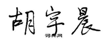 曾慶福胡宇晨行書個性簽名怎么寫