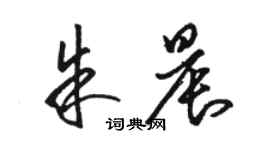 駱恆光朱晨草書個性簽名怎么寫