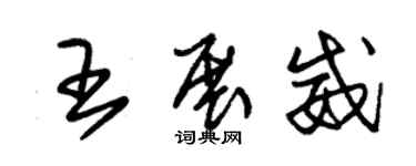 朱錫榮王展威草書個性簽名怎么寫