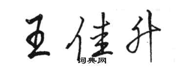 駱恆光王佳升行書個性簽名怎么寫