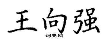 丁謙王向強楷書個性簽名怎么寫