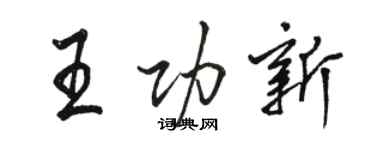 駱恆光王功新行書個性簽名怎么寫