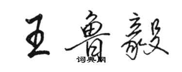 駱恆光王魯毅行書個性簽名怎么寫