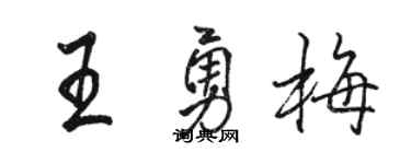 駱恆光王勇梅行書個性簽名怎么寫