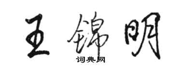 駱恆光王錦明行書個性簽名怎么寫