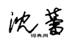 朱錫榮沈蕾草書個性簽名怎么寫