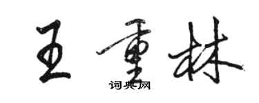 駱恆光王重林行書個性簽名怎么寫