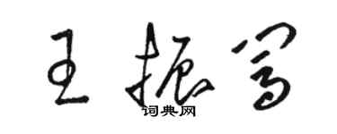 駱恆光王振闖草書個性簽名怎么寫