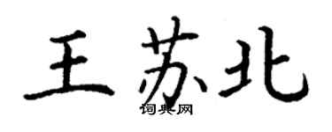 丁謙王蘇北楷書個性簽名怎么寫