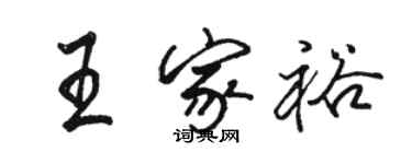 駱恆光王家裕行書個性簽名怎么寫