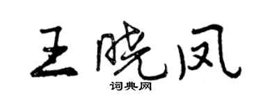 曾慶福王曉鳳行書個性簽名怎么寫