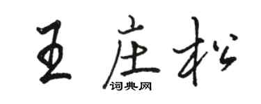 駱恆光王莊松行書個性簽名怎么寫