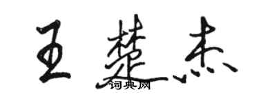 駱恆光王楚傑行書個性簽名怎么寫