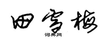 朱錫榮田雪梅草書個性簽名怎么寫