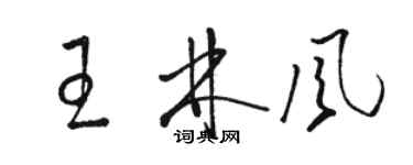 駱恆光王林風草書個性簽名怎么寫