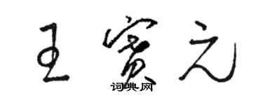 駱恆光王賽元草書個性簽名怎么寫