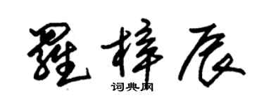 朱錫榮羅梓辰草書個性簽名怎么寫