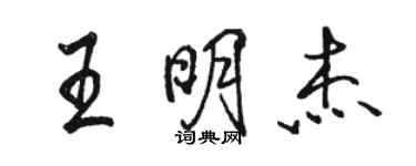 駱恆光王明傑行書個性簽名怎么寫