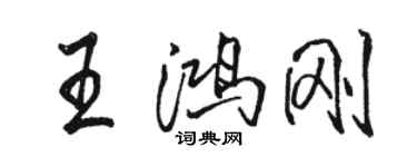 駱恆光王鴻剛行書個性簽名怎么寫