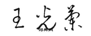 駱恆光王光蘭草書個性簽名怎么寫