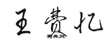 駱恆光王費憶行書個性簽名怎么寫