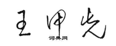 駱恆光王甲先草書個性簽名怎么寫