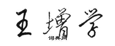 駱恆光王增學行書個性簽名怎么寫