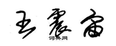 朱錫榮王震宙草書個性簽名怎么寫