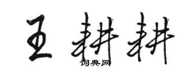 駱恆光王耕耕行書個性簽名怎么寫