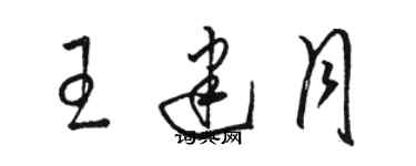 駱恆光王建月草書個性簽名怎么寫