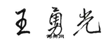 駱恆光王勇光行書個性簽名怎么寫
