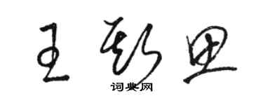 駱恆光王斯思草書個性簽名怎么寫