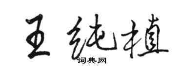 駱恆光王純植行書個性簽名怎么寫