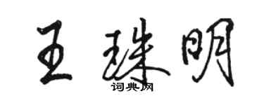 駱恆光王珠明行書個性簽名怎么寫