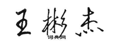 駱恆光王彬傑行書個性簽名怎么寫