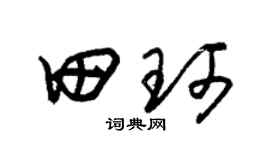 朱錫榮田珂草書個性簽名怎么寫