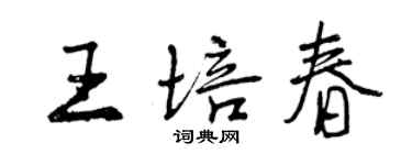 曾慶福王培春行書個性簽名怎么寫