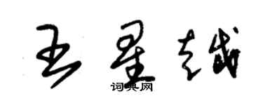 朱錫榮王星越草書個性簽名怎么寫