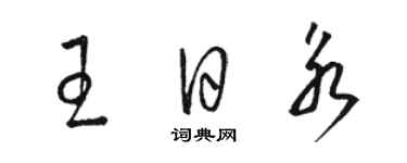 駱恆光王日永草書個性簽名怎么寫