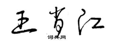 曾慶福王肖江草書個性簽名怎么寫