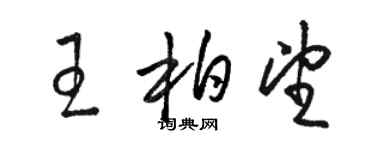 駱恆光王柏望草書個性簽名怎么寫