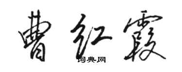 駱恆光曹紅霞行書個性簽名怎么寫